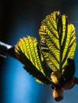 _DSC0832