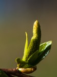 _DSC0837