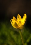 _DSC0864