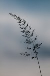 _DSC2174