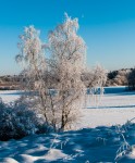 _DSC4556